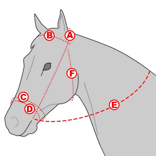Размер уздечки для лошади