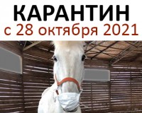 Режим работы конного магазина igogo.club с 28 октября 2021