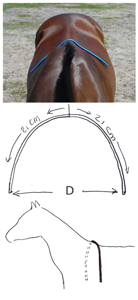 Размер седла для лошади